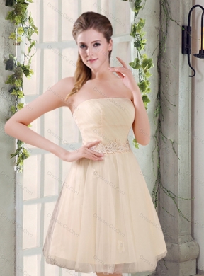 Strapless Appliques Summer New Dama Dress in Champagne