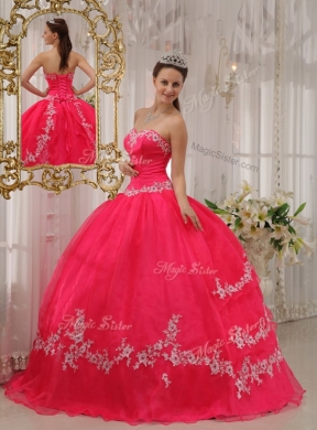 Exquisite Ball Gown Appliques Quinceanera Dresses