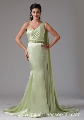 Stylish Yellow Green One Shoulder Prom Celebirty Dress With Appliques Watteau Train