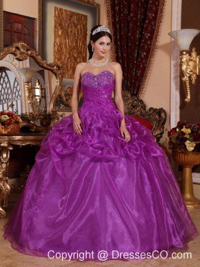 Eggplant Purple Ball Gown Long Organza Beading Quinceanera Dress