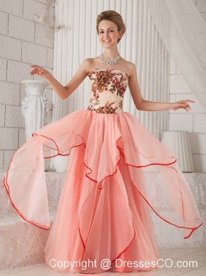 Watermelon Column / Sheath Strapless Long Organza Appliques Prom / Evening Dress