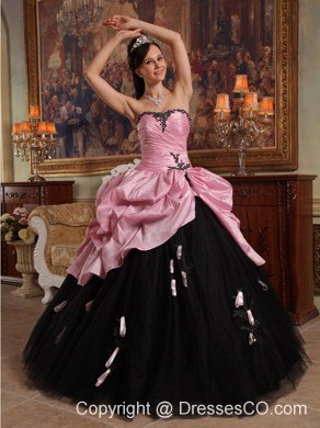 Rose Pink And Black Ball Gown Long Hand Flowers Tulle And Taffeta Quinceanera Dress